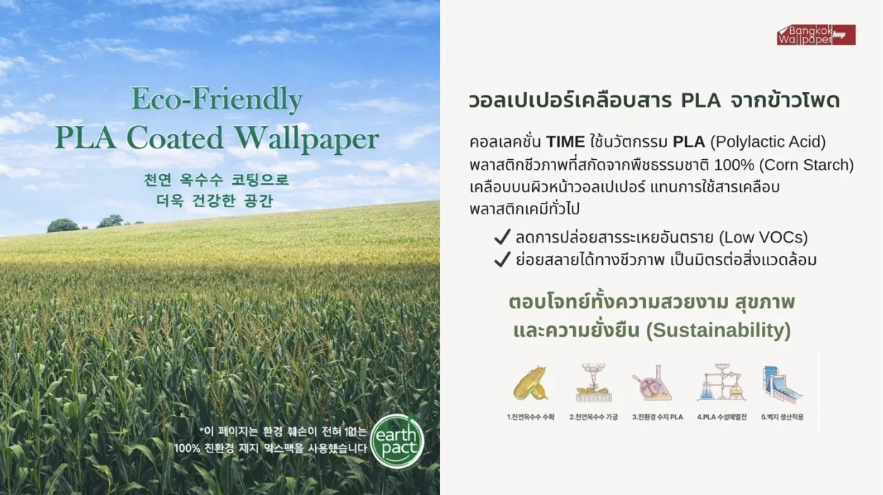 IMAGE_PLACEHOLDER_2.webp